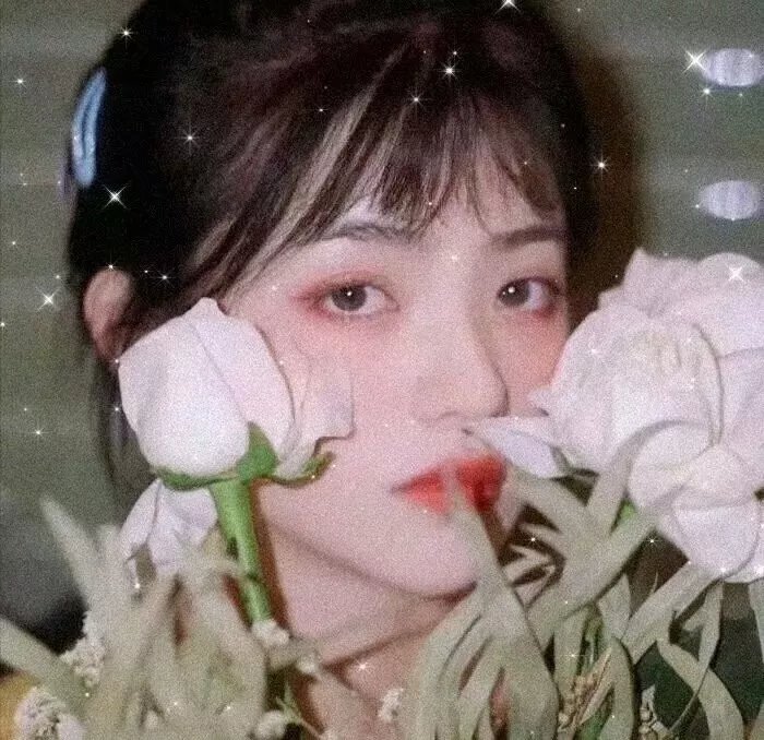 寻找神话之鸟