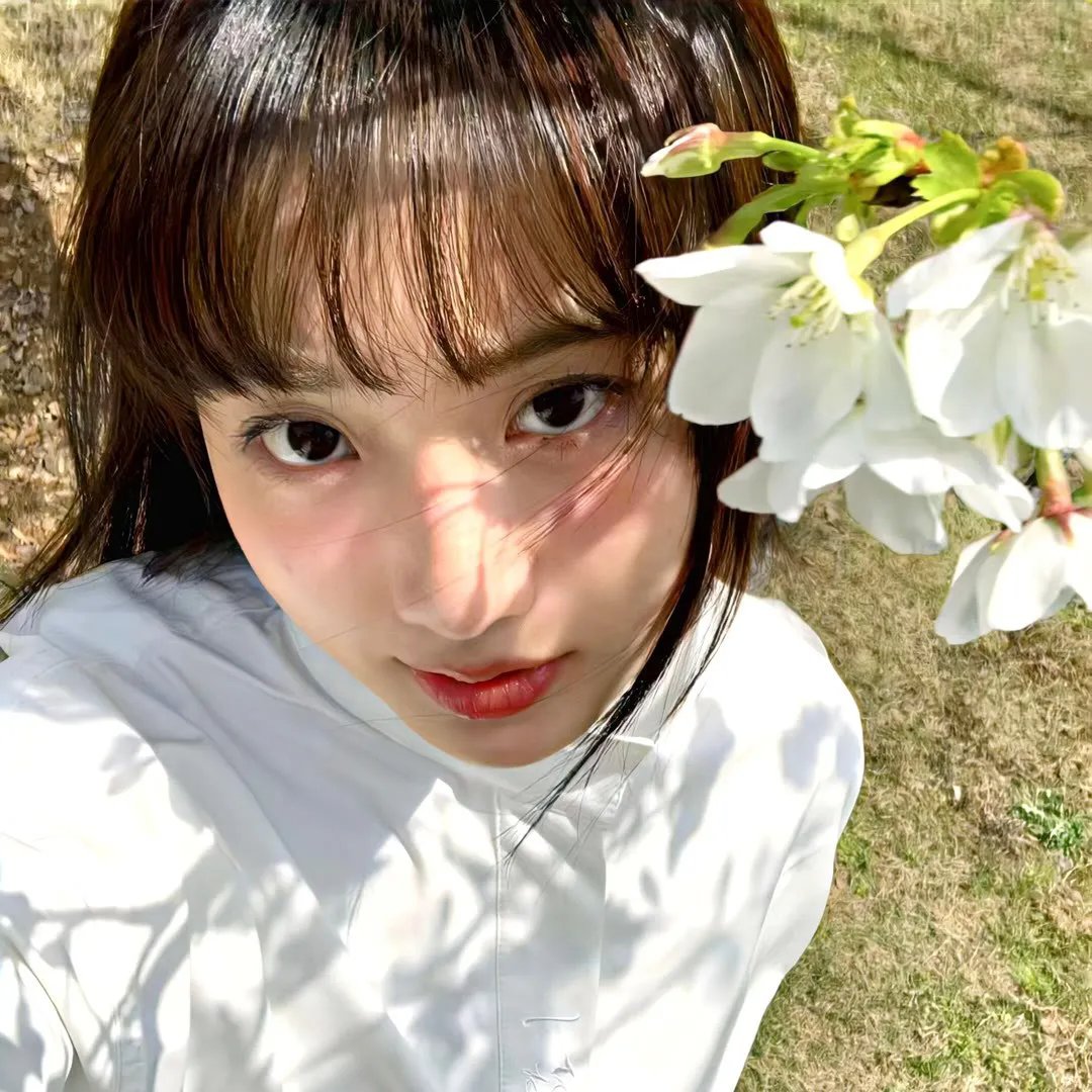 碧芦冤孽
