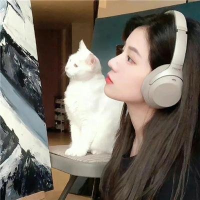 废柴联盟第四季
